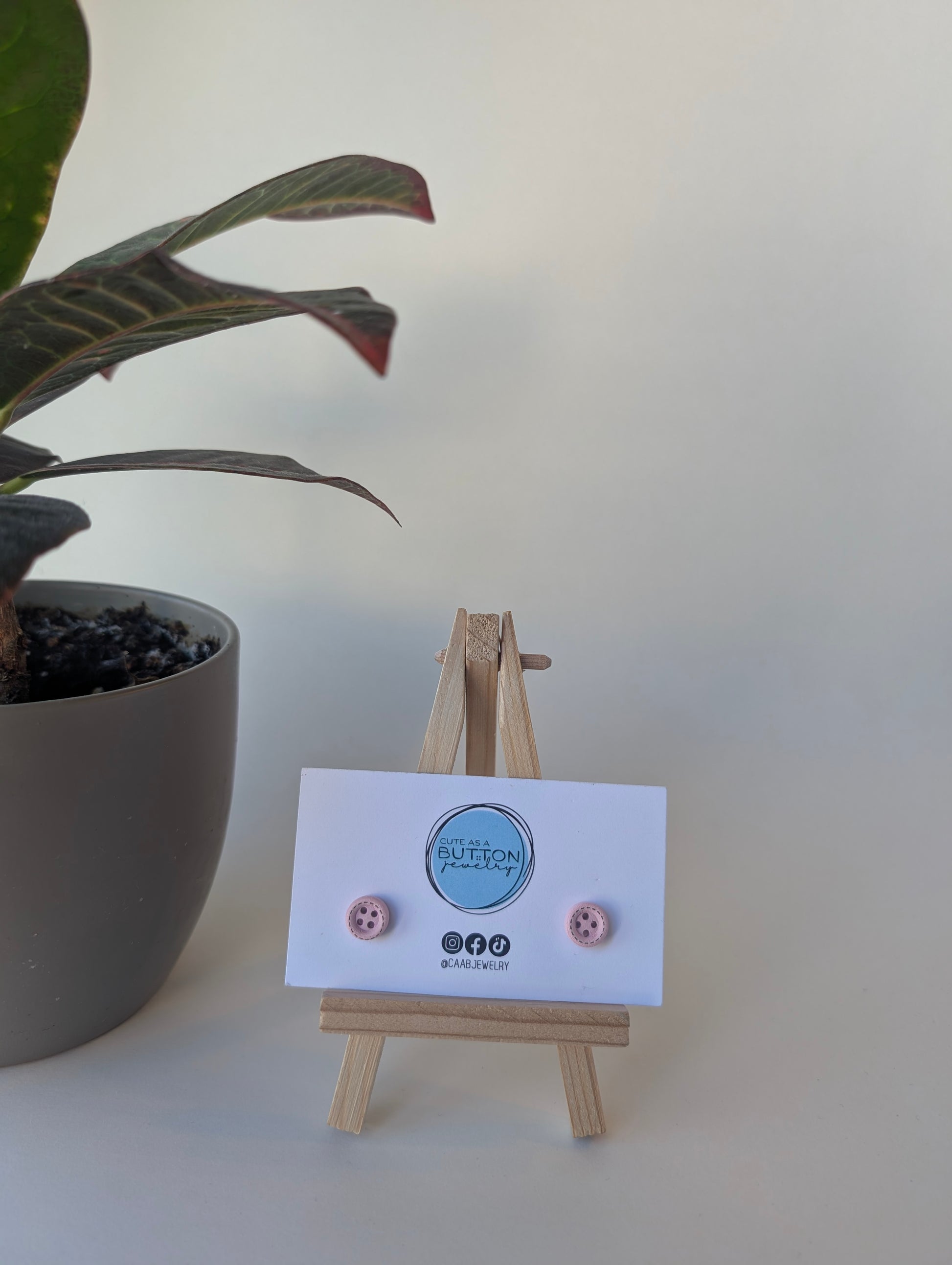 Pair of earrings on a card with a small wooden stand, next to a potted plant.